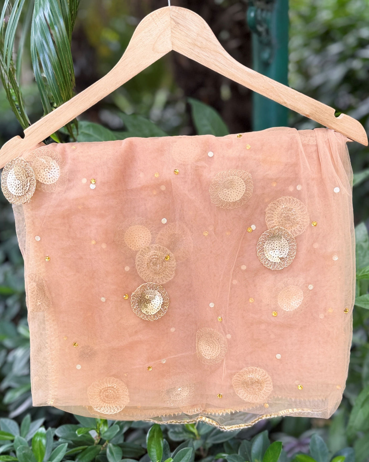 Light brown net dupatta with delicate gold-toned braided border