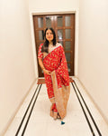 Raven Red Kashmiri Handloom Jamewar saree with intricate multicolor paisley and floral motifs